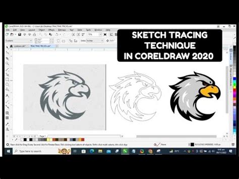 Image result for CorelDRAW 2020 Tracing Tutorials