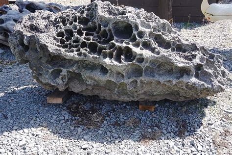 【海石】海の荒波にさらされた奇岩銘石 悠久の杜