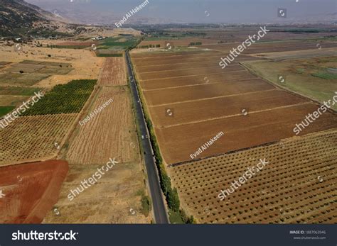 Agriculture In Lebanon