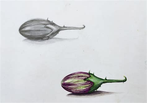 Object Drawing Easy 的图像结果