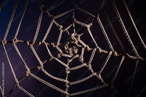 Image result for Spider Rope Shibari Tutorial