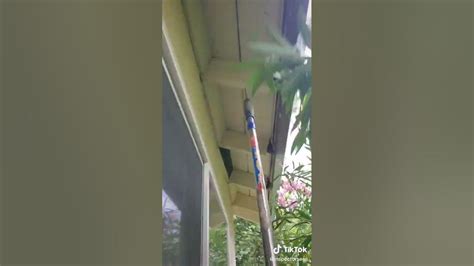 ASMR Taps 的图像结果