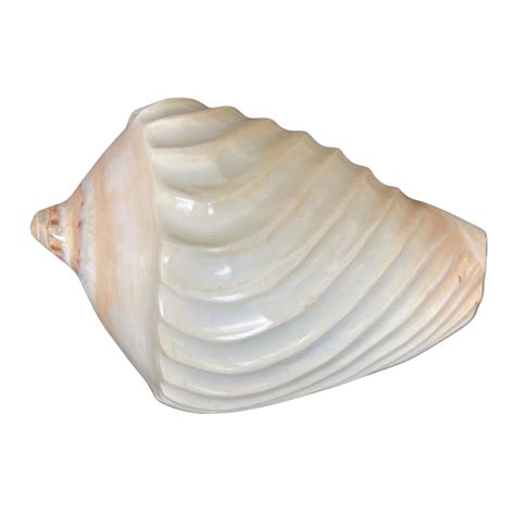 Image result for Shell Anklets