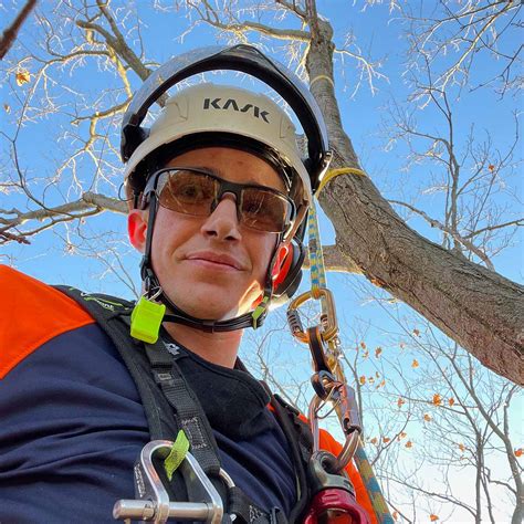 Winterize Cedars: Show Your Hedges Some Love