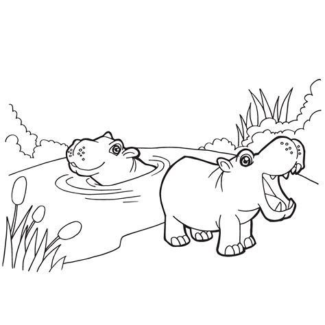 Hippopotamus Colouring Pictures
