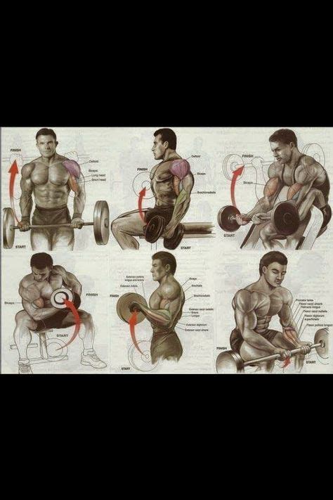 Image result for Bad Back Exercises Book BMA