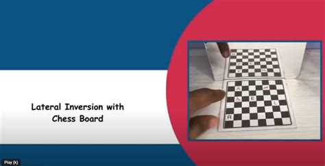 Image result for Lateral Inversion Experiment