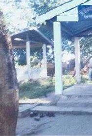 RAIDONGIA DOL (2026) All You Need to Know BEFORE You Go (with Photos ...