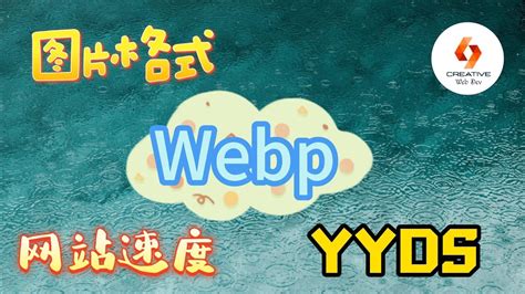 Web Format 的图像结果