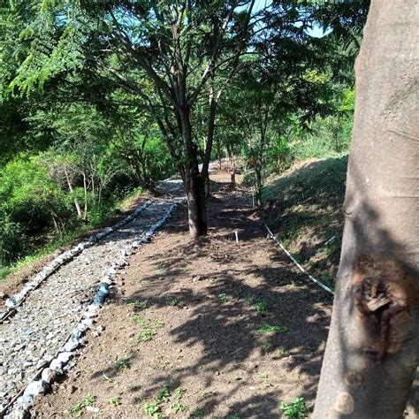 Best Top Rated Park in Jakatwadi, Maharashtra, India | Yappe.in