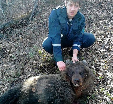 俄女子遭熊袭击被活埋 险成黑熊晚餐-国际在线