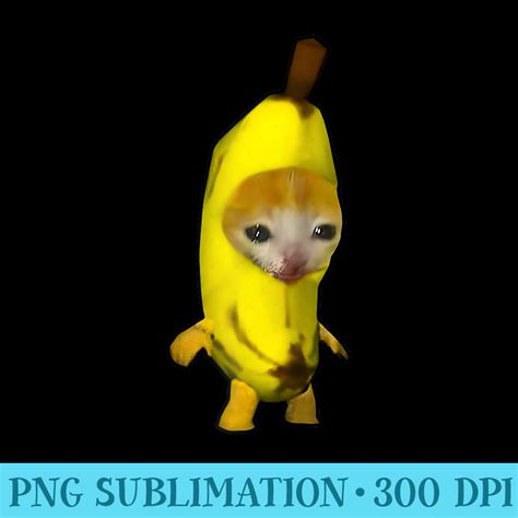 Image result for Cat Writing Python Code