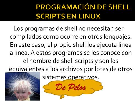 Image result for Shell Script Que ES