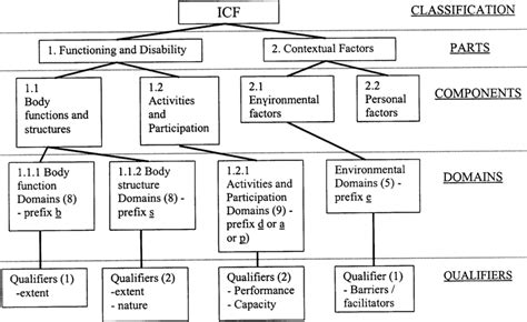 Image result for ICF Classification PDF