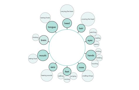 Image result for Different Types of Thinking Maps