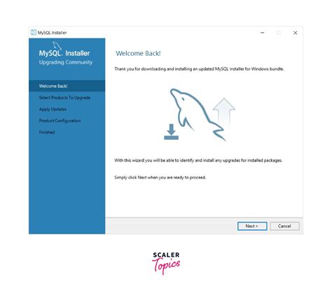 Image result for How to Download and Install MySQL Client On Windows 10 in Django Projects