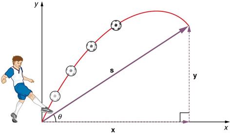 Image result for Projectile Motion Examples