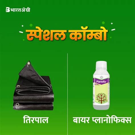 Yomaxx Black 175 GSM (12x18 Feet) Tarpaulin + Bayer Planofix ...