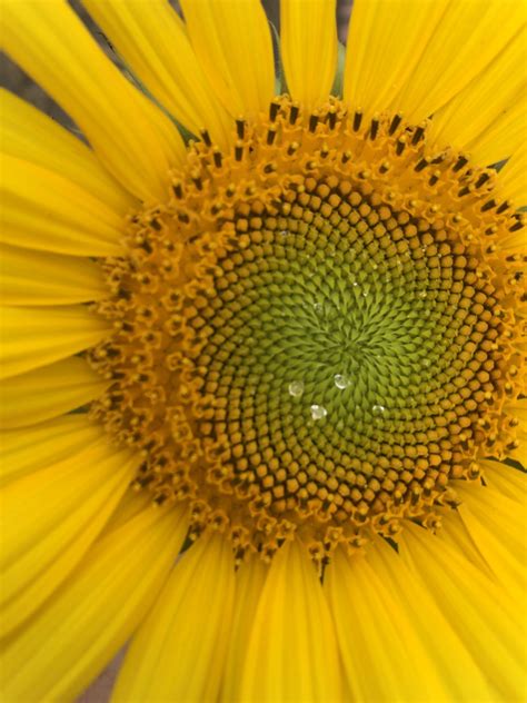 Upcoming Events – Peace Yoga Studio