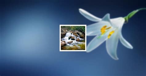 Obituary | Ruth Stutler | McColaugh Massie Funeral Home