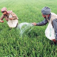 Potash Subsidy By Nearly A Fifth, To Hit Imports - BW Businessworld