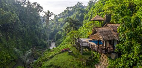 Ubud Villa Rentals | Boutique Hotel and House Rentals | Airbnb