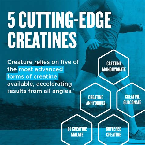 Buy Beast Sports Nutrition Creature - 180 Vegetable Capsules - 5 Forms ...