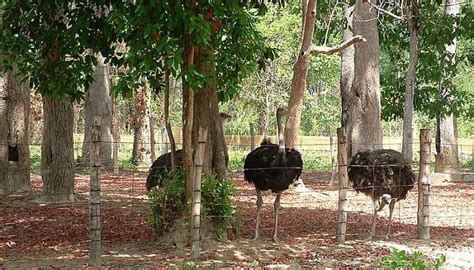Buon Ma Thuot Is A Hidden Gem In Vietnamese Highlands