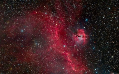 Download wallpaper 3840x2400 seagull nebula, nebula, stars, space 4k ...