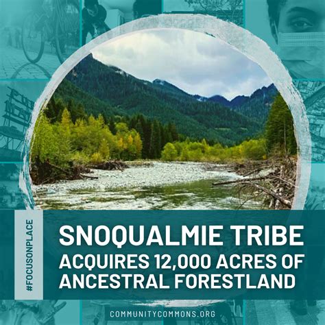Carrollwood Tampa: What Tribe’s Ancestral Lands Are There?
