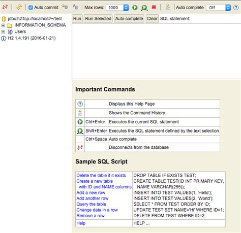 Java Connect to H2 DB in Linux 的图像结果