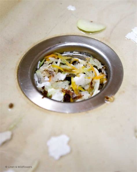 Image result for Kitchen Disposal Unit Clean