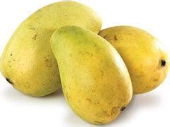 Chausa Mango 1-10.Kg Pack – Food Care