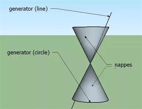 What is the generator of the cone - Brainly.in