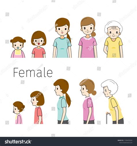Stages Of Life Clipart
