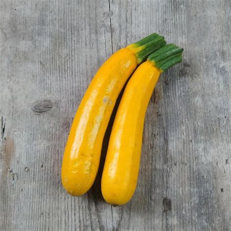 Yellow Zucchini 'Goldena' (Cucurbita pepo) seeds