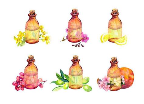 Essential Oils for Home & Personal Care - Benefits, Uses and DIY Recipes