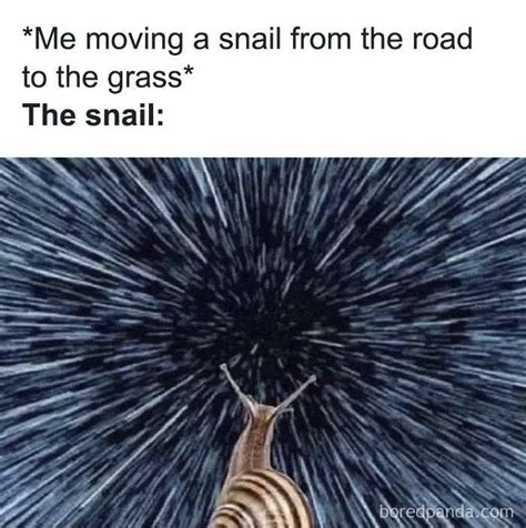 Science Funny Humour 的图像结果