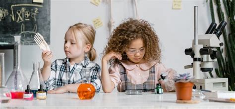 Image result for Observational Learning Theory