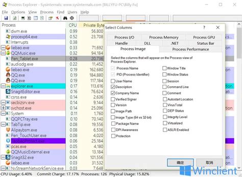 System Internal Process Explorer 的图像结果