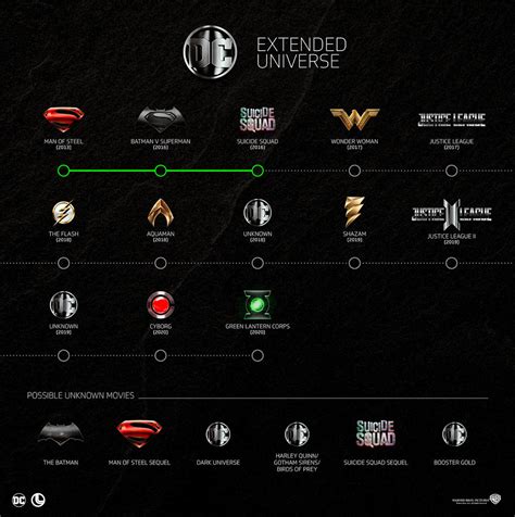 Image result for DC Extended Universe