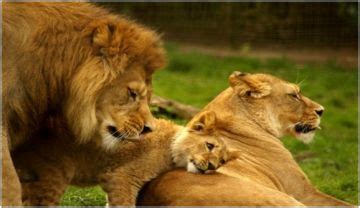 Magical 5 Days Bengaluru to Nairobi Tour Package | Nairobi Trip Package ...