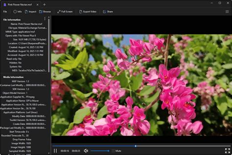 Open MXF File 的图像结果