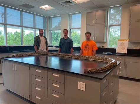 Image result for Florida Burmese Python Hunters