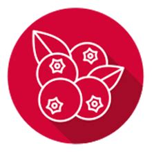 Farmina N&D Quinoa Urinary Cat Food | Grain-Free | Duck, Quinoa ...