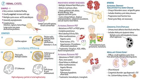Pathology: Renal Cysts & Polycystic Diseases | Draw It to Know It