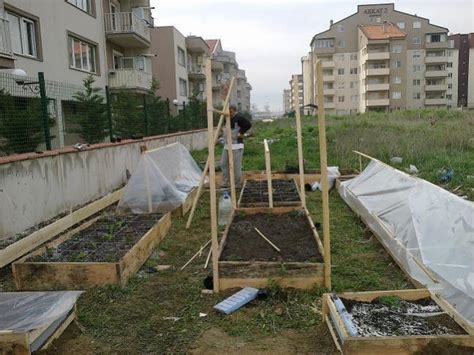 Sebze bahçesi hazırlama - Page 22 - agaclar.net