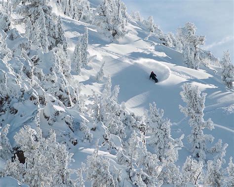 Mammoth | Mammoth mountain, Mammoth ski resort, Mammoth