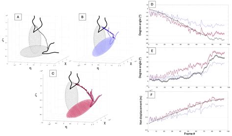 Hydrodynamic Effects of Mastigonemes in the Cryptophyte Chilomonas ...