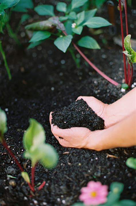 What Type of Garden Soil Is Best for Raised Beds? • Gardenary